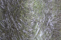 Bentley Heath fibreglass roof work